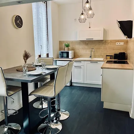 Bel En Plein Coeur Du Vieux Troyes. Apartment Troyes