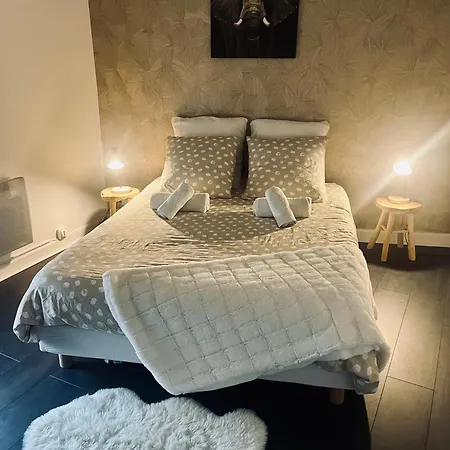 Bel En Plein Coeur Du Vieux Troyes.