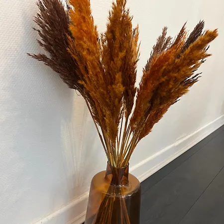 Apartament Bel En Plein Coeur Du Vieux Troyes. *