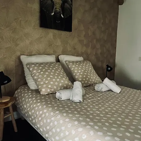 Apartment Bel En Plein Coeur Du Vieux Troyes.
