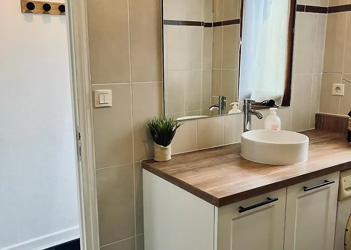 Bel En Plein Coeur Du Vieux Troyes. Apartamento Troyes