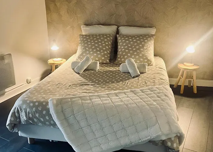 Bel En Plein Coeur Du Vieux Troyes.