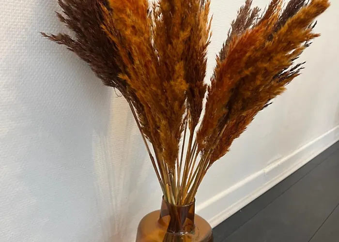 Apartamento Bel En Plein Coeur Du Vieux Troyes. *